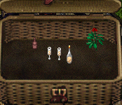 Valentine's Champagne Picnic Basket Set