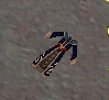 Umbrascale Ceremonial Robe
