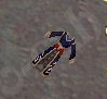 Umbrascale Ceremonial Robe